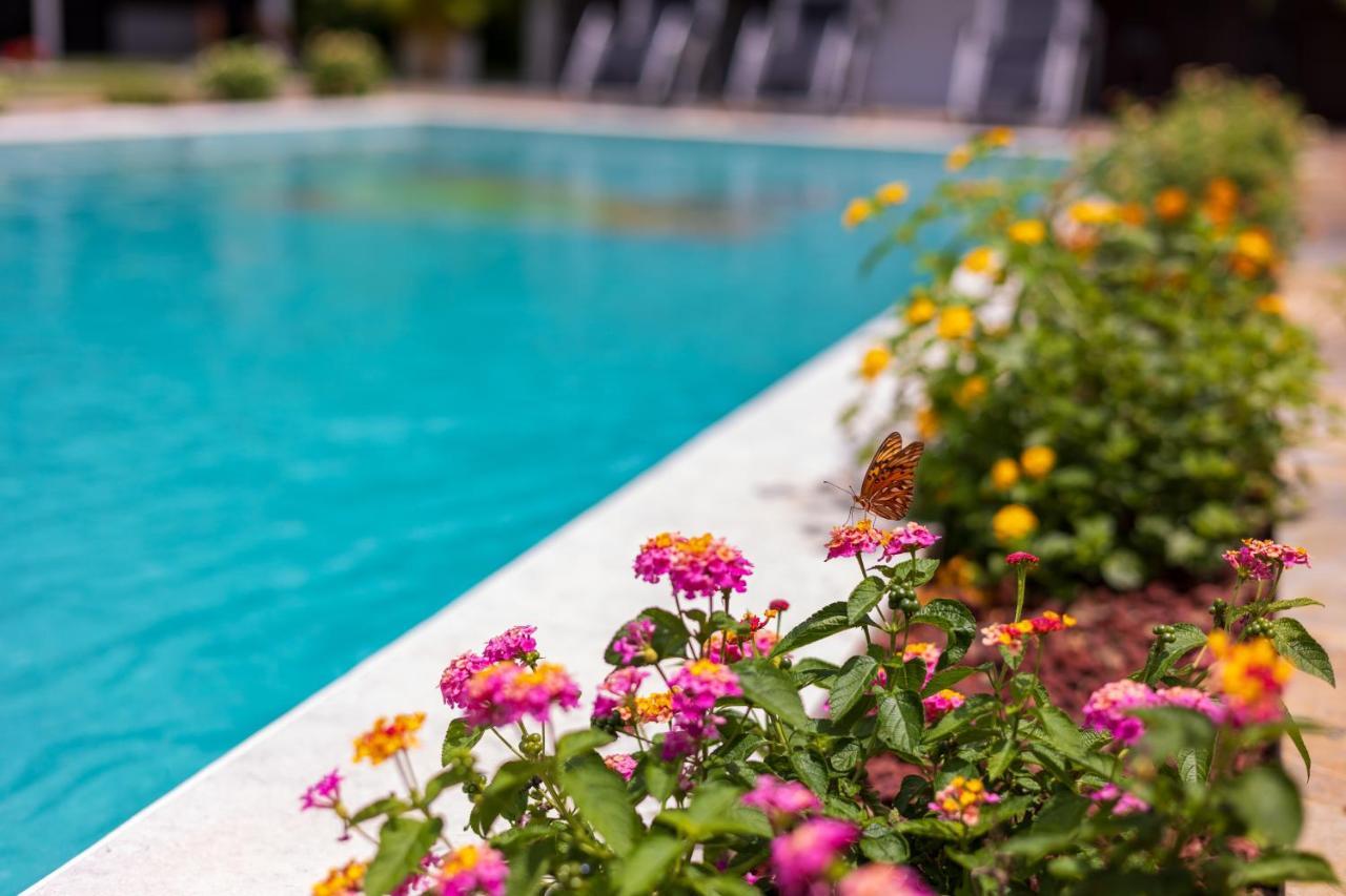 Shalom Chamo Villas Uvita Exteriér fotografie